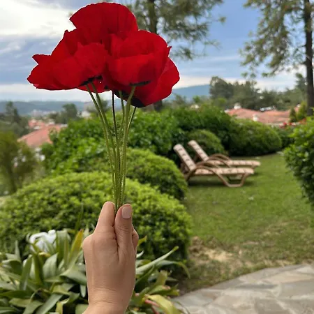 Goekova Villasbloom * Ula