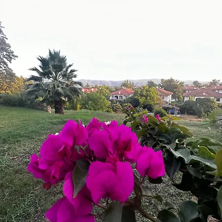 Goekova Villasbloom Ula